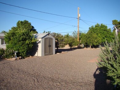 Rear yard looking NE