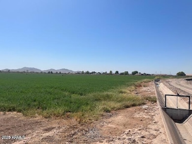 20250204192706989331000000-o