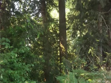 0 Spencer Rd unit 1180517, Salkum, WA 98564 - photo 6