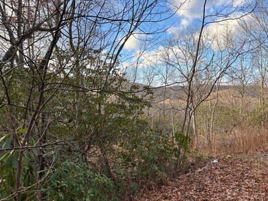 2.02 AC Viewforth Place, Topton, NC 28781 - photo 2