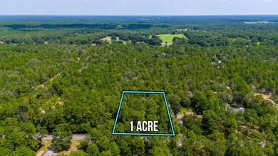 2-web-or-mls-Via Internacional Aerial-1