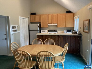 409 3 Ridges, Wintergreen Resort, VA 22967 - photo 3