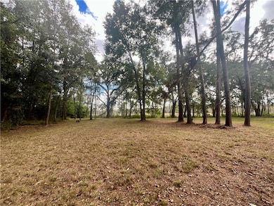 Lot 21 Black Cypress Dr, Darien, GA 31305 - photo 4