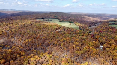 000 TBD Madison 3440, Kingston, AR 72742 - photo 4