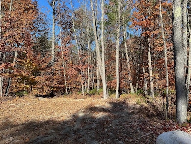 0 Old Goshen Rd unit 5020133, Conway, NH 03813 - photo 3