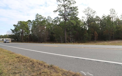 7049 State Road 21, Keystone Heights, FL 32656 - photo 2