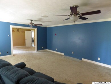 29005 Al Highway 251, Ardmore, AL 35739 - photo 7