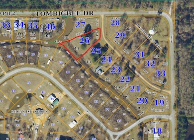 Lot 14
