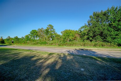 13509 Kaltenbrun Rd, Houston, TX 77086 - photo 3