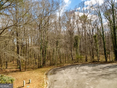 220 Lang Dr, Fayetteville, GA 30214 - photo 5