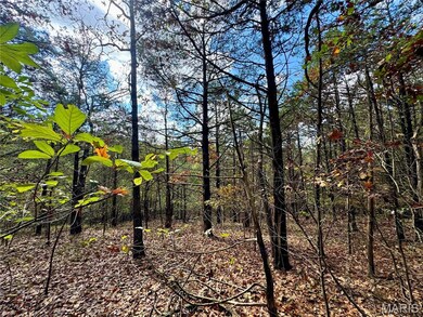 16 Ac Haverstick School Rd, Central Township, MO 63028 - photo 6