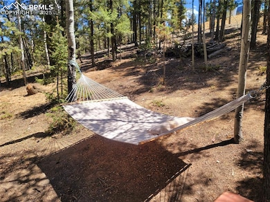 40 Flathead Ln, Woodland Park, CO 80863 - photo 5