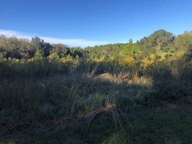 000 Pear St, Pavo, GA 31778 - photo 2