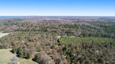 DJI_0009