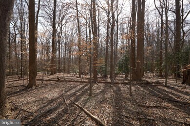 11001 Picasso Ln, Potomac, MD 20854 - photo 6