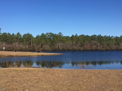 Spring Lake Park view