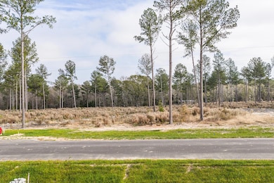 135 Beagle Chase Dr, Appling, GA 30802 - photo 5