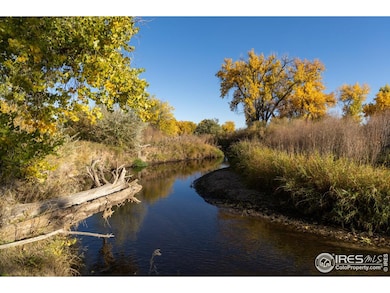 4229 Luchello Ct, Johnstown, CO 80534 - photo 5