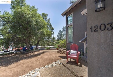 1203 Laurel Ln, Murphys, CA 95247 - photo 2