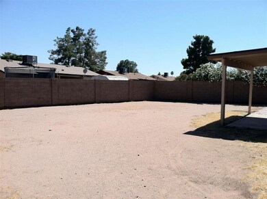 hackamore 040