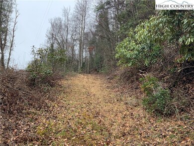 TBD Fall Creek Rd, Purlear, NC 28665 - photo 2