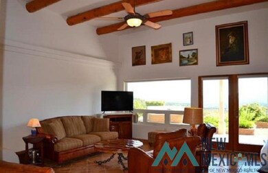 39 Mount Olympus Rd, Silver City, NM 88061 - photo 7