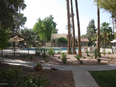 Community Pool 2