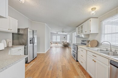 ZYN_0382_3_4_5_6_7_8 (1)