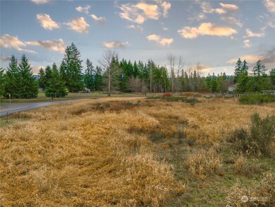 0 XX Country Dr E, Graham, WA 98338 - photo 4