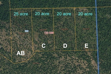 Parcel AB Daisy Mine Rd, Gifford, WA 99131 - photo 6