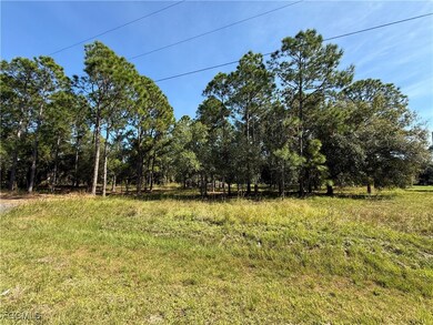 335 N Lindero St, Montura, FL 33440 - photo 3