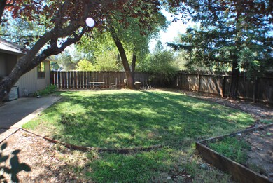 Backyard with shade