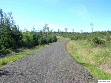 18390 Highway 22, Sheridan, OR 97378 - photo 4