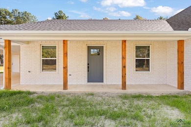 1725 Deanna Rd, Diana, TX 75640 - photo 5