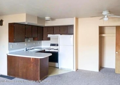 502 S East St, Eaton Rapids, MI 48827 - photo 4