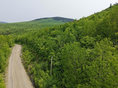 DJI_20250604110352_0032_D