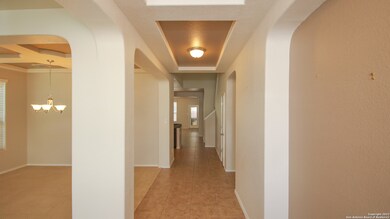 3806 Sweet Olive, San Antonio, TX 78261 - photo 6