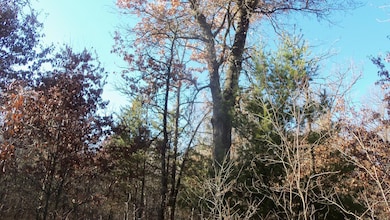 Lot 1 Ferry Rd, Grantsburg Township, WI 54840 - photo 5