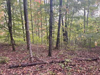 0 Macedonia Rd, Cookeville, TN 38506 - photo 6