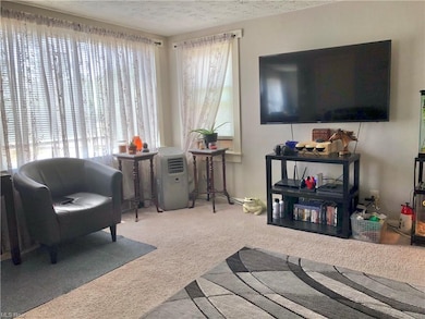 188 E Hamilton St, Oberlin, OH 44074 - photo 7