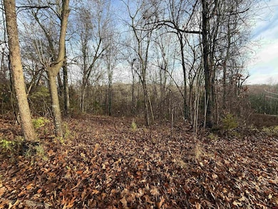 549-00828-000 Dogwood Dr, Omaha, AR 72662 - photo 3