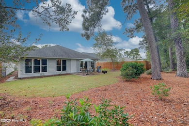 124 Holly Tree Ln, Hampstead, NC 28443 - photo 5