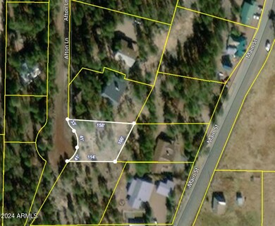 2 E County Road 1013 Rd unit 12, Greer, AZ 85927 - photo 2