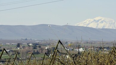 Pastoral View of Mt. Adams