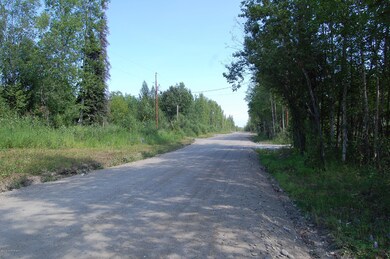 13505 Maplewood Dr, Big Lake, AK 99654 - photo 2