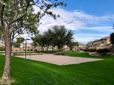 Volleyball Court