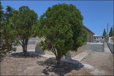 3401 Idalia Ave, El Paso, TX 79930 - photo 4