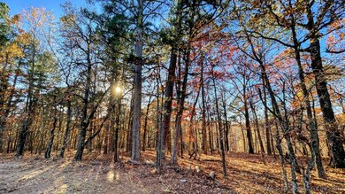 14 Big Bear Rd, Flint Creek, OK 74347 - photo 4