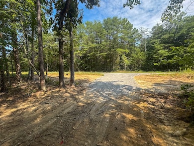 0 Richard Dorning Rd unit Lot001 24538016, Kimmins, TN 38462 - photo 6