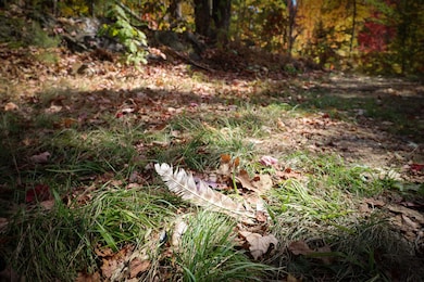ROW Daniels Farm Rd, Waterford, VT 05819 - photo 5